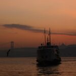 shipping carrier comparison,reduce shipping costs,e-commerce optimization,tips for choosing carrier,ECONOMIC Impact Analysis,SHIPPING COST OPTIMIZATION,RELIABILITY EVALUATION,CARRIER SERVICE COMPARISON,PERFORMANCE ANALYSIS,BUSINESS GROWTH STRATEGIES