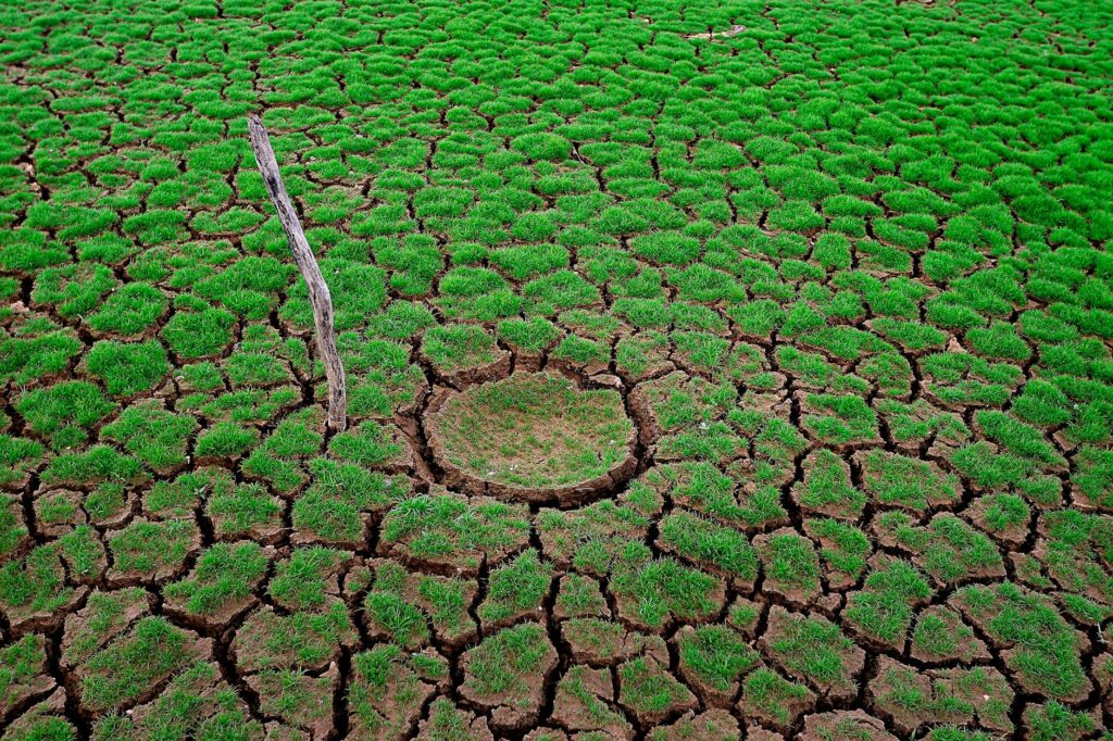 Discover The Importance Of Environmental Impact Assessments In E-Commerce And Learn How Businesses Can Reduce Their Ecological Footprint Through Sustainable Practices, Technological Innovation, And Transparency