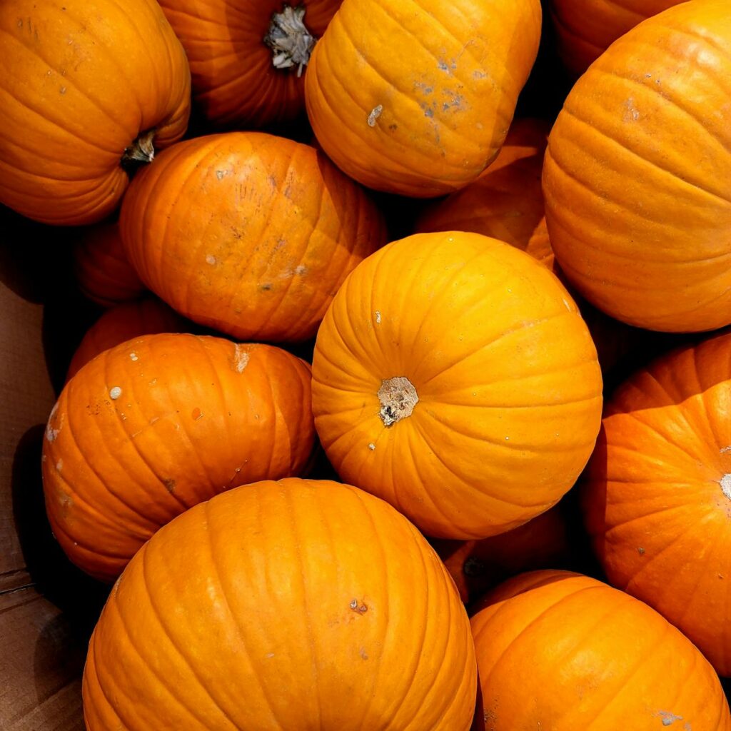 E-Commerce Halloween Specials: Unlock Exclusive Deals, Discounts, and Promotions for a Thrilling Shopping Experience This Spookiest Season of the Year