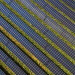 sustainable e-commerce shipping practices,carbon offset programs,electric vehicles,eco-friendly packaging,reducing greenhouse gas emissions,Sustainable Shipping Methods,Carbon Offset Programs,Eco Friendly Transport Solutions,Sustainable Packaging Options,Cleaner Cargo Practices