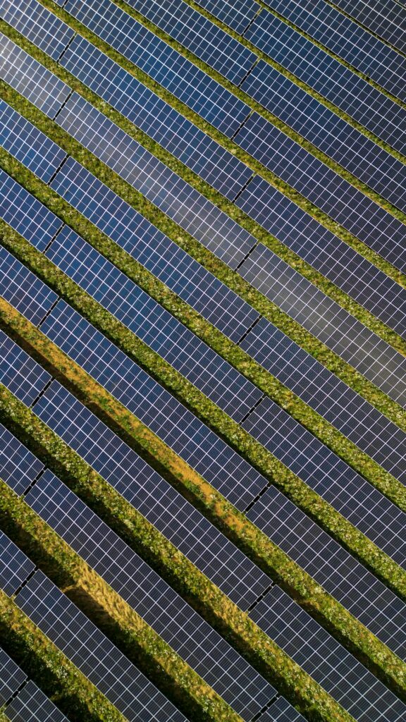 Sustainable E-Commerce Shipping Practices: Minimize Your Carbon Footprint, Enhance Your Reputation, And Contribute To A More Sustainable Future