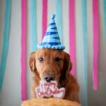 birthday anniversaries discounts,e-commerce experience,limited time offers,dynamic shipping solutions,online deal sites,sign up for newsletters,social media,image compression,optimized shopping cart,customer satisfaction,business savings,exclusive promotions,milestone birthdays.,Birthday Anniversaries Discounts,E-Commerce Optimization Strategies,Online Deal Sites,Shipping Cost Reduction Techniques,Dynamic Shipping Solutions