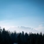 e-commerce,visual content,product images,sales potential,high quality images,Best Practices,Creating High-quality Images,Image Optimization Strategies,Product Photography Techniques,Business Benefits Of Visuals,Customer Trust Builders