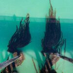 customer satisfaction in e-commerce,customer experience,customer loyalty,repeat business,online retail,customer service,returns and refunds,shipping options,personalized recommendations,surveys,social media monitoring,customer service metrics,Customer Satisfaction,E-Commerce Experience,Retail Customer Loyalty,Online Store Improvement,Website User Feedback,Delivery Service Quality